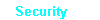 Security